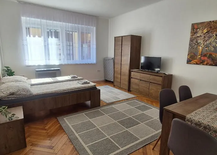 Downtown Studio Apartman