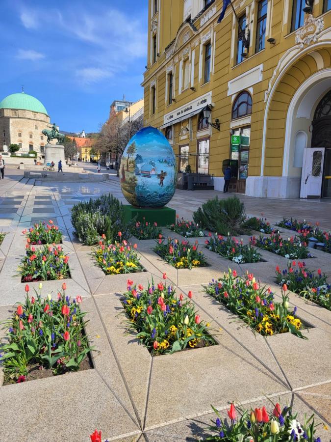 Downtown Pecs
